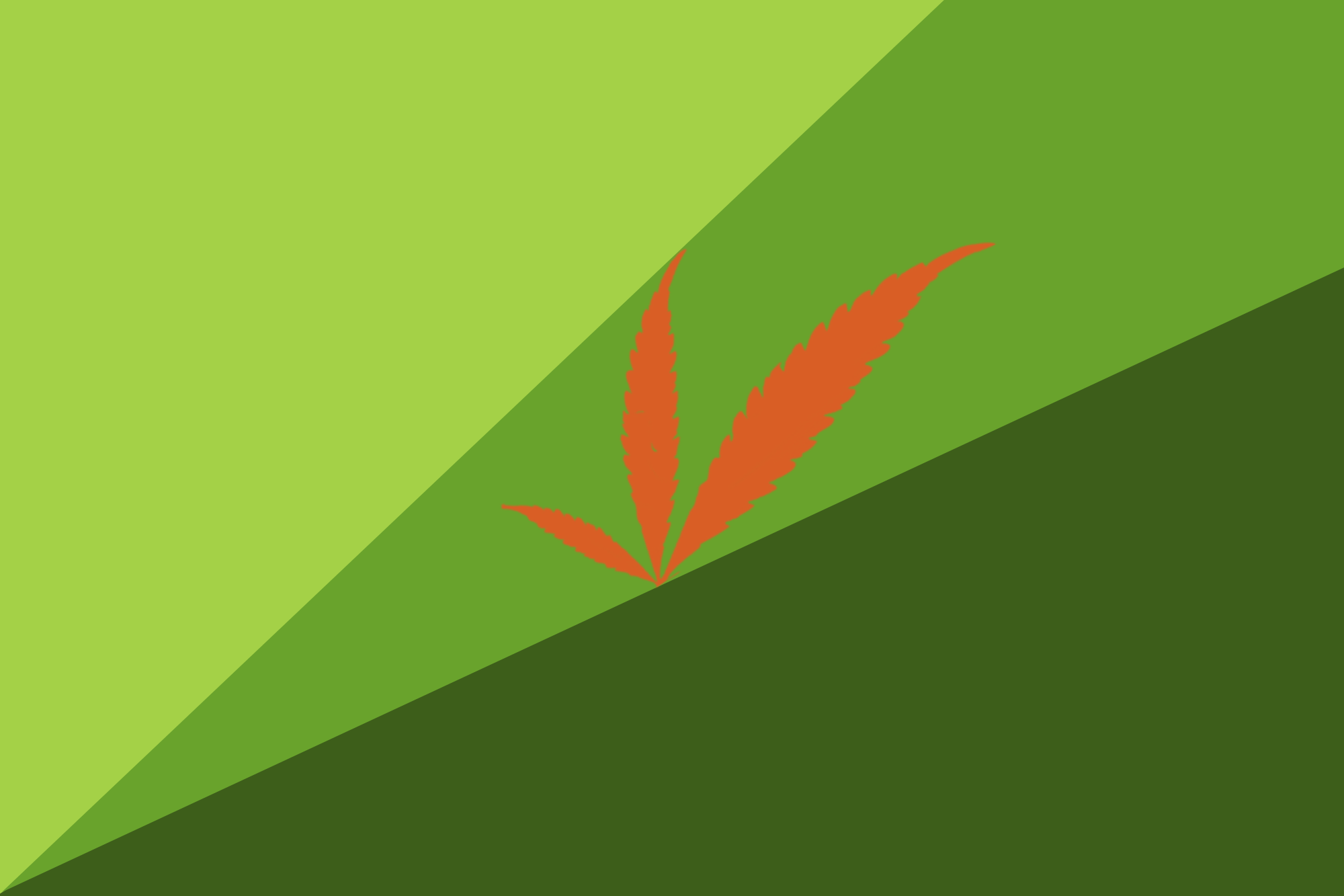 Flag of the Cannabis Embassy